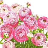 M076# 3 x Single Paper Napkins For Decoupage Craft Tissue Pink Ranunculus Flower
