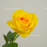 Real Touch Half Opened Rose Stem | High Quality Artificial Flower | DIY Floral | Wedding/Home Decoration | Gifts - Yellow