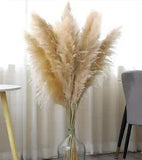 10 Stems of 46" Inch Natural Pampas Grass Decor Tall,Dried Pompas Grass Flower B