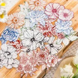 Sketch Flower Plants PET Stickers Bullet Journals Card DIY Scrapbooking Crafts