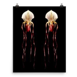 Vonflora Lady Slipper Orchid Print Phragmipedium Caudatum Orchid Print Wall Art Orchid Poster