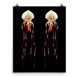 Vonflora Lady Slipper Orchid Print Phragmipedium Caudatum Orchid Print Wall Art Orchid Poster