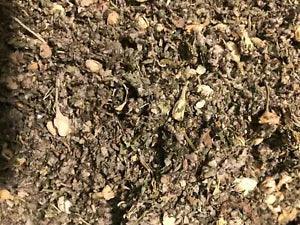 No.32 Mix Mullein Catnip Ginger Jasmine Wild Lettuce Skullcap Marshmallow - 8 oz