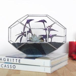 Customized Large Geometric Glass Terrarium Gifts for Gardeners Indoor Planter Glass Box  Orchid Planter Centerpiece Container  House Decor
