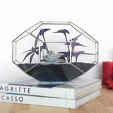 Customized Large Geometric Glass Terrarium Gifts for Gardeners Indoor Planter Glass Box  Orchid Planter Centerpiece Container  House Decor