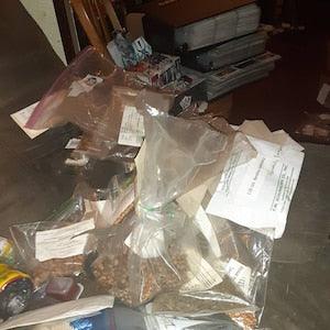 2 Random Types of Seeds (Tree, Shrub, Vine, and Flower Seed Varieties Are All Options)