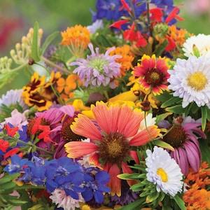 Butterfly, Hummingbird , Bee Wildflower Mix