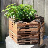 232. Salvaged Red Pine Wood Hanging Basket Planter for Orchids, Bromeliads, Ferns, Cacti, Other Epiphytes and Succulents