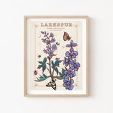 Larkspur Wall Art Print, July Birth Flower Illustration Print