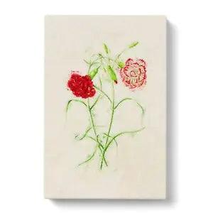 Canvas Print Wall Art Illustration of Pink Carnation Flowers Framed Picture