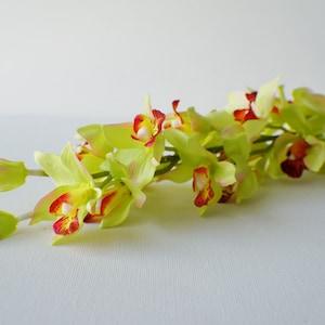 24" Artificial Spotted Orchid Stem in Spotted Red and Green, Faux Orchid Flower Stems Tropical Flower Floral Supplies, Photo Prop