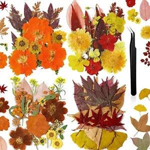 Pressed Flowers Bulk Dried Flower for Resin Mold, Dried Flower Graceful Style