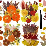 Pressed Flowers Bulk Dried Flower for Resin Mold, Dried Flower Graceful Style