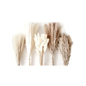120PCS Pampas Grass Boho HomeDecor Dried Flowers-Pampas Grass Contains Bunny WH9