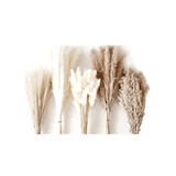 120PCS Pampas Grass Boho HomeDecor Dried Flowers-Pampas Grass Contains Bunny WM7