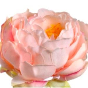 Real Touch Peonies Farmhouse Decor French Country WildFlowers Artificial Flowers Craft Supplies Wedding Bouquets Flower Arranging
