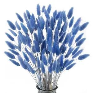 120pcs Dried Bunny Tails Flowers Blue Rabbit Tail Grass Lagurus Ovatus Dried