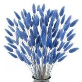 120pcs Dried Bunny Tails Flowers Blue Rabbit Tail Grass Lagurus Ovatus Dried