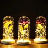 LED Enchanted Eternal Rose Artificial Flower In Glass Large Dome Light DecorGift