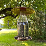 Bird feeder PURE copper!  for sunflower seeds. Brass hardware. NO PLASTIC!