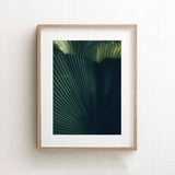 Palm Leaf Print, Tropical Wall Art, Phuket Thailand, Kitchen Decor, Plant Print, Boho Wall Decor, Large Palm Canvas, Nature Photography