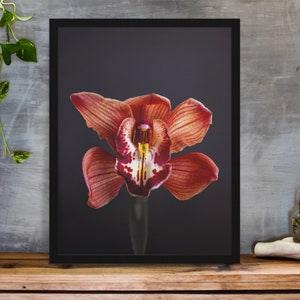 Bold Bloom: Handcrafted Red Orchid Poster for Minimalist Decor