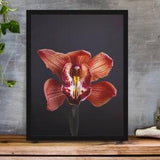 Bold Bloom: Handcrafted Red Orchid Poster for Minimalist Decor