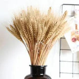 Real Wheat Ear Flower Natural Dried Flowers Wheat Ears Bouquet For Wedding Party