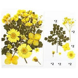 NEW LISTINGReal Dried Flower Natural Dry Plants Candle Epoxy Necklace Making Craft DIY a