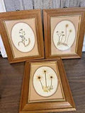 Vintage Dried Flowers Framed Wall Art Made in Italy 3pcs-Boho, Granny Chic