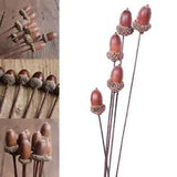 5X Natural Dried Flower Acorns Fruits Branch Ornament Festival Party Decor Gift