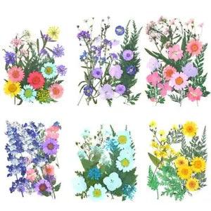 Dried Flower Natural DIY Pressed Flower Resin Craft Props DIY Home...