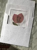 handmade dried purple bougainvillea under silk blank card on recycled paper 5x5