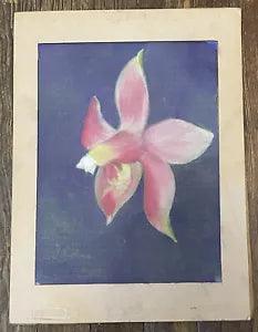 Vintage Art Pastel Drawing of Lily Flower Plant on Paper w/ Mat SIGNED