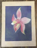Vintage Art Pastel Drawing of Lily Flower Plant on Paper w/ Mat SIGNED