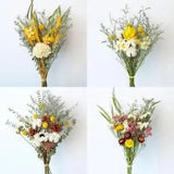 lot Dried Cotton Eucalyptus Bunch for Home Decor - Natural Plant Arrangement