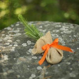 Tree seedling wrapped in burlap and tied with ribbon