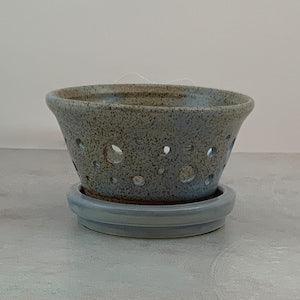 Orchid Planter