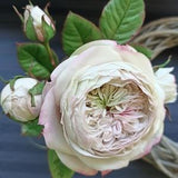 David Austin rose for vase, HANDMADE Blush pink piano rose, Realistic Peony rose, Artificial rose, English garden rose, Single long stem