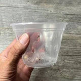 4.5??? clear orchid pot with holes, Clear plastic pot, Plastic flower pot for orchids, Clear pot with holes