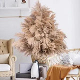 Dried Flowers Pampas Grass Decor Fluffy Pompas Floral 100 Stems Small Pompous Bu
