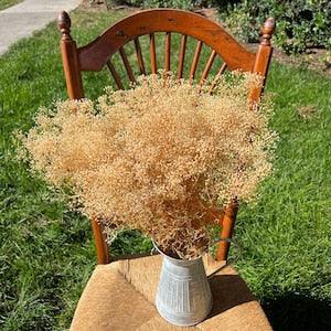 Natural Preserved Baby's Breath bunch / Natural Preserved Gypsophilia / Perfect for Wedding Home Decor DIY Floral arrangements