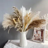 15Pc Natural Dried Pampas Grass Reed Flower Bunch DIY Flower Home Decor Crafts