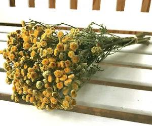 Dried Flowers Tansy Bouquet hanging Bunch crafting wreathmaking floral prim