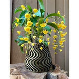Groovy orchid pot planter with drainage holes modern stylish trendy orchid pot for gifts, birthdays, Mother's day, Spring