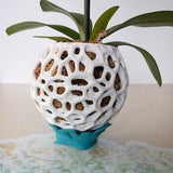 Medium DIY Orchid Kokedama Set with Holder, Orchid Planter with Stand, Orchid Pot with Legs, Orchid Moss Ball Planter