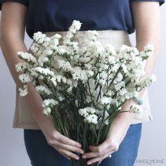 White Statice | DIY Wedding Flowers | Flower Moxie Flower Delivery
