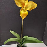 Large Artificial Paphiopedilum Lady Slipper Orchid on disc YELLOW