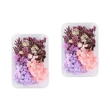 2 Sets Preserved Flower Material Pack Dried Flowers Aromatherapy Scrapbooking