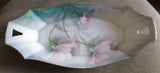 R. S. TILLOWITZ SILESIA PRUSSIA LUSTRE PORCELAIN BOWL CARNATIONS